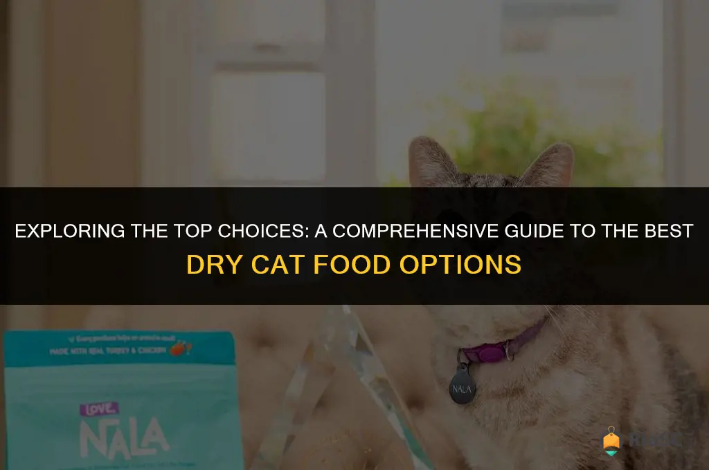 best dry cat food research