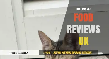 Top-Rated Dry Cat Food in the UK: A Comprehensive Review