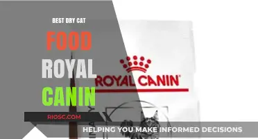 Top Picks for Your Feline Friend: Royal Canin's Best Dry Cat Food Options