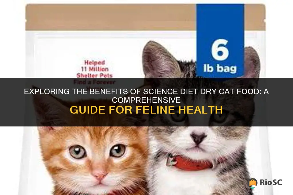 best dry cat food science diet