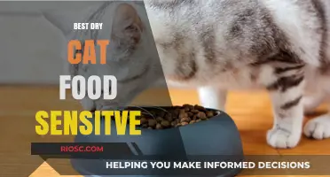 Top Picks for Sensitive Stomachs: The Best Dry Cat Food Options