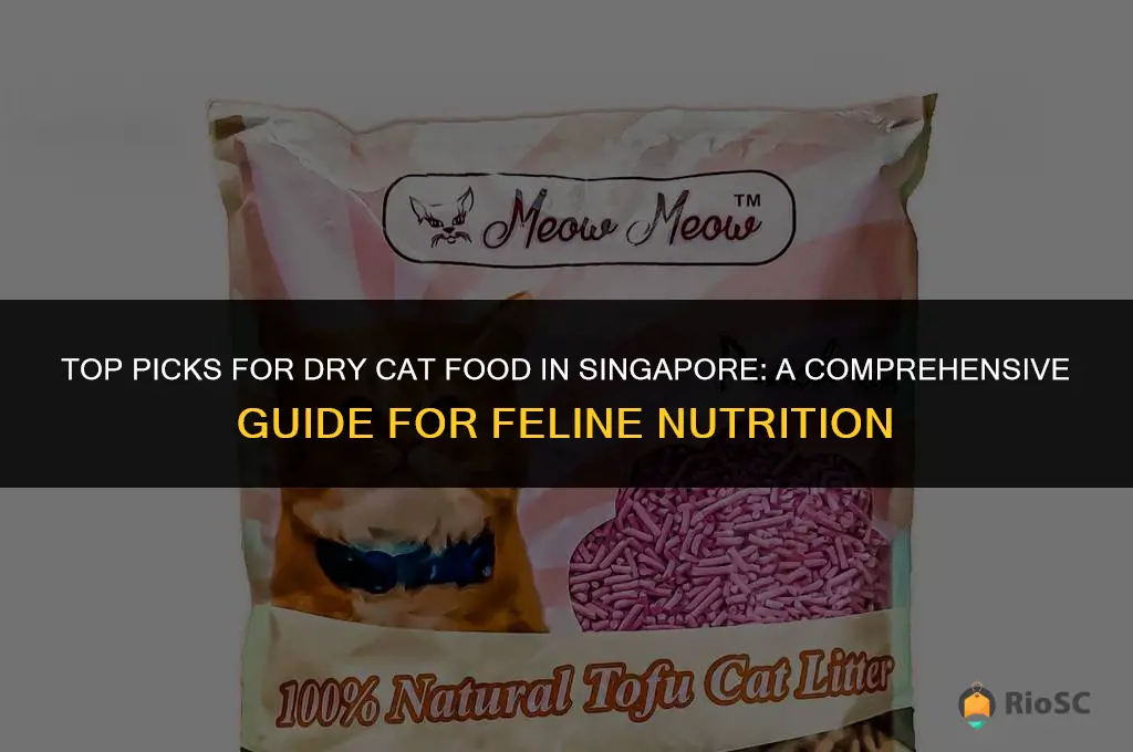 best dry cat food singapore