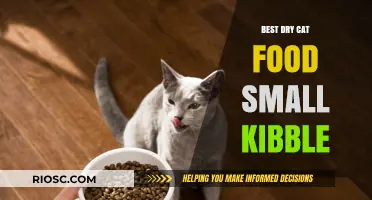 Top Picks for Your Feline Friend: The Best Dry Cat Food with Small Kibble