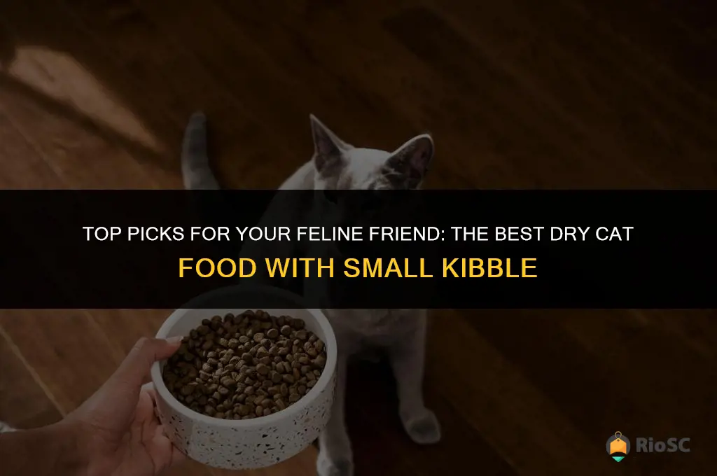 best dry cat food small kibble