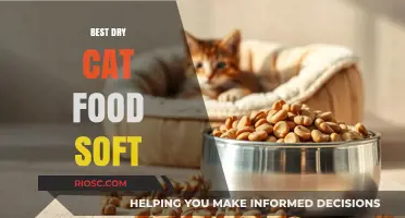 Top Picks for the Best Dry Cat Food with a Soft Texture