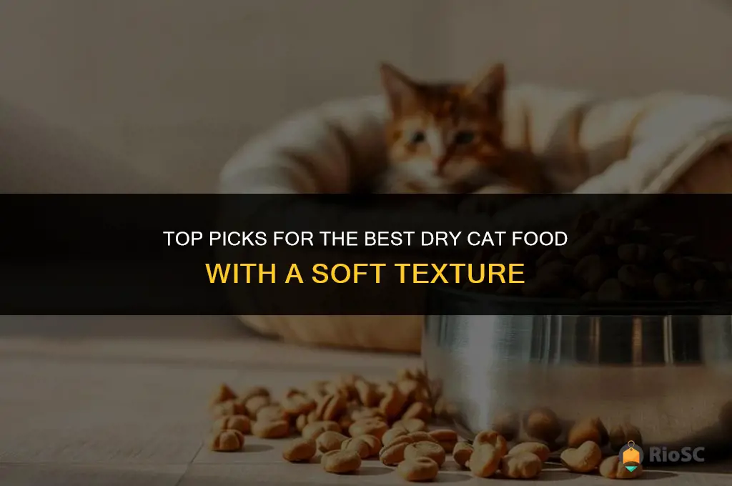 best dry cat food soft