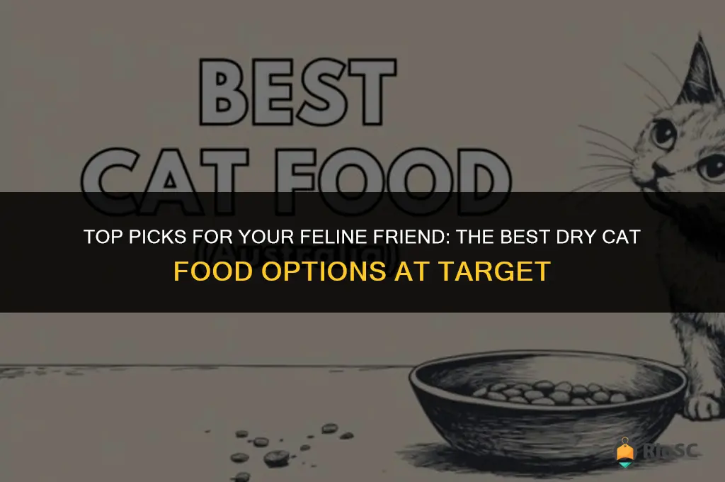 best dry cat food target