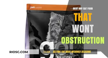 Top Picks for Dry Cat Food: Delicious and Digestible Options to Prevent Obstruction