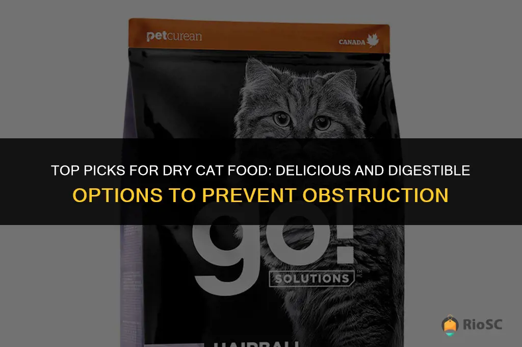 best dry cat food that wont obstruction