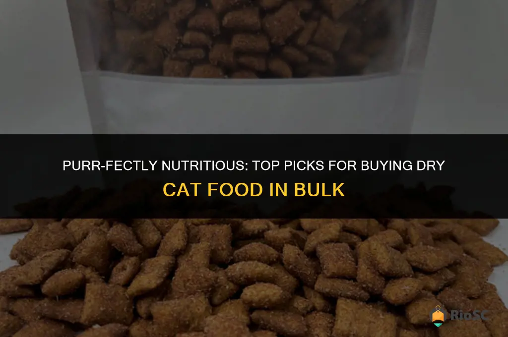 best dry cat food to buyin bulk