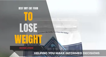 Slimming Down Your Feline Friend: Top Dry Cat Food Picks for Weight Loss