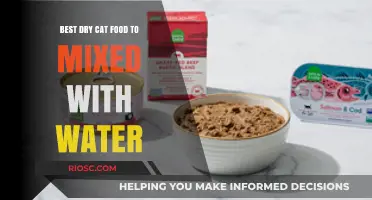 Hydrating Your Feline Friend: Top Dry Cat Food Picks to Mix with Water