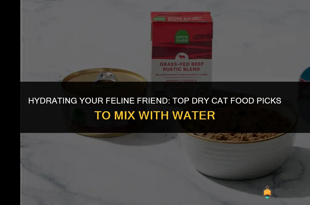 best dry cat food to mixed with water