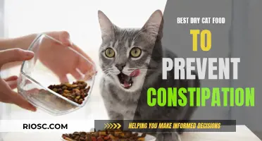 Top Picks for Dry Cat Food to Aid Digestive Health and Prevent Constipation