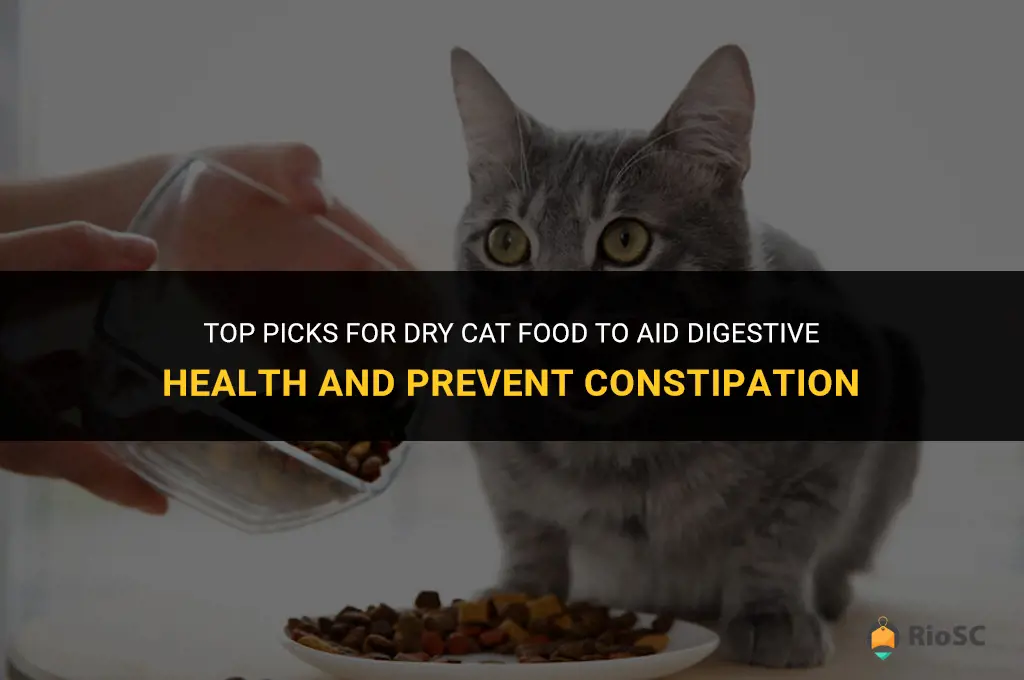 best dry cat food to prevent constipation