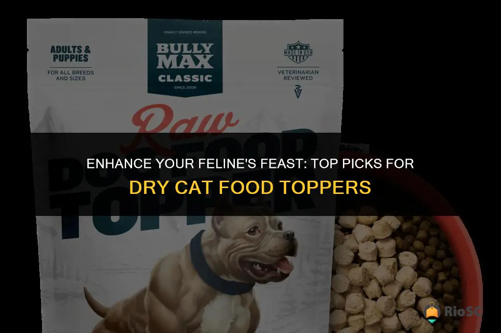 best dry cat food toppers