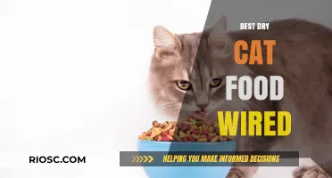 Top Picks for Your Feline Friend: The Best Dry Cat Food Options Reviewed by Wired