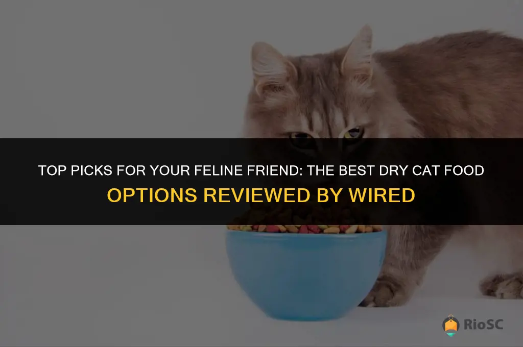 best dry cat food wired