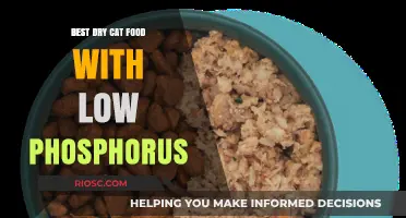Top Picks for Low-Phosphorus Dry Cat Food: A Comprehensive Guide