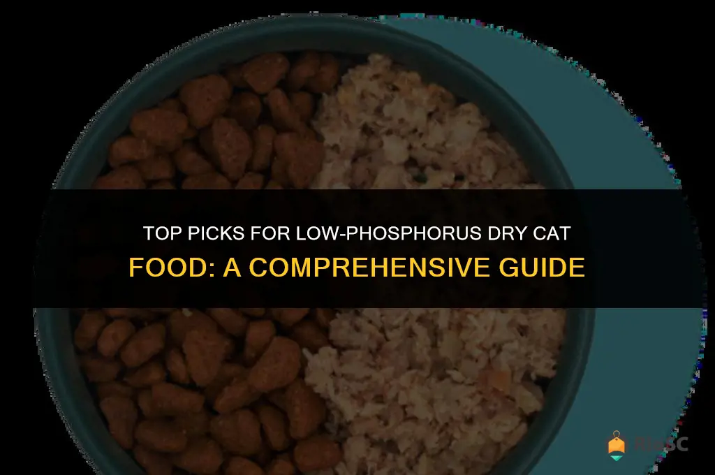best dry cat food with low phosphorus
