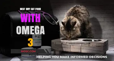 Top Picks for Feline Nutrition: Best Dry Cat Food Enriched with Omega-3