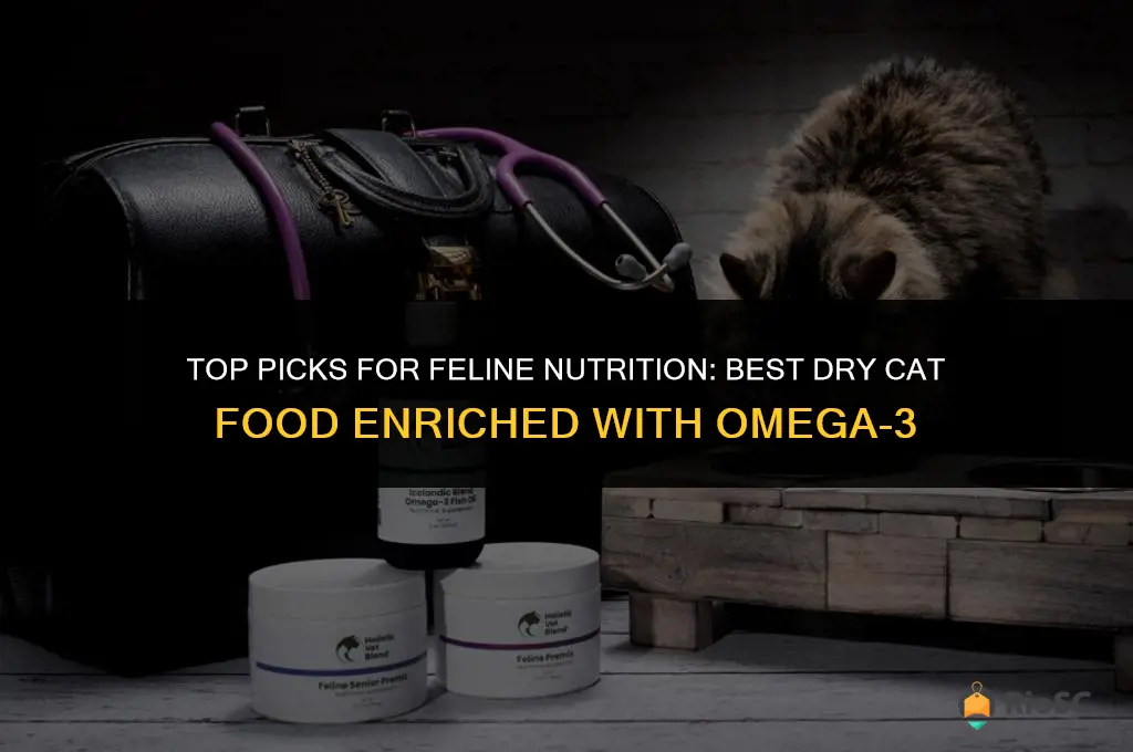best dry cat food with omega 3