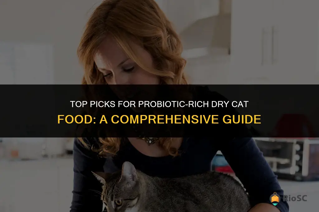 best dry cat food with probiotics