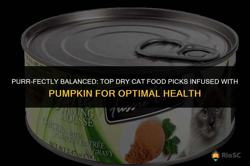 best dry cat food with pumpkin