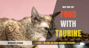 Top Picks for Taurine-Rich Dry Cat Food: A Comprehensive Guide