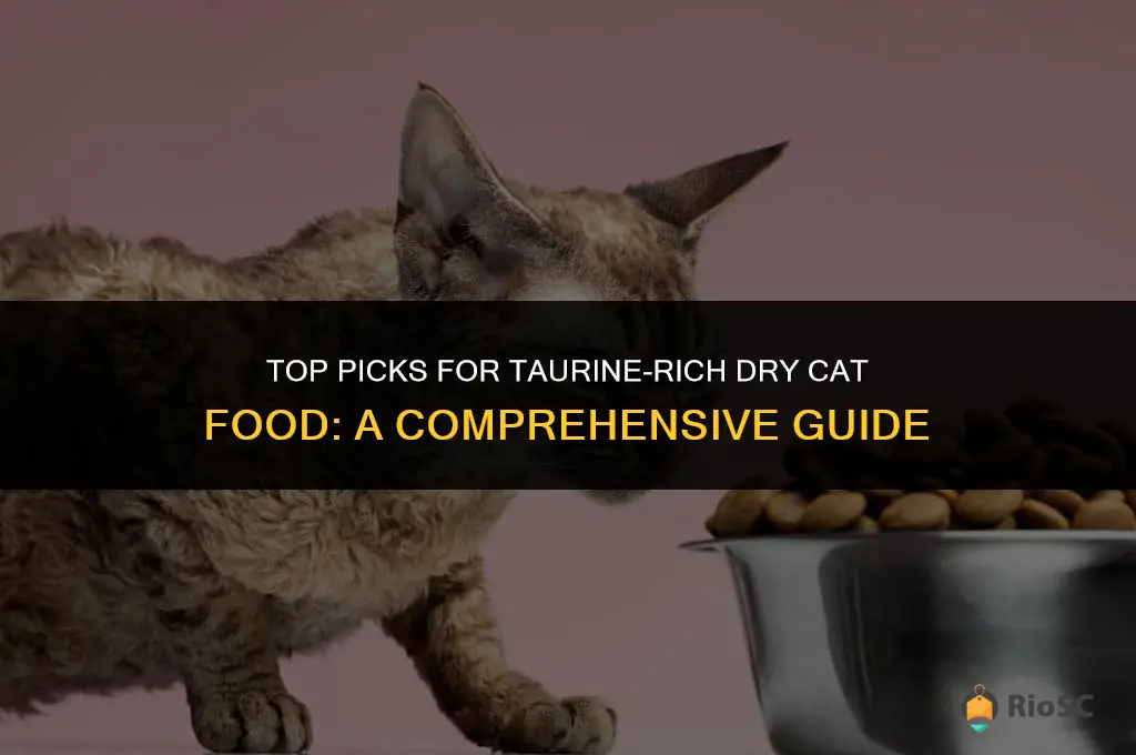 best dry cat food with taurine