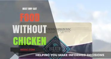 Top Picks for Dry Cat Food: Chicken-Free Options for Your Feline Friend