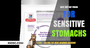 Top Picks for Tummy-Friendly Dry Cat Foods: A Comprehensive Guide for Sensitive Stomachs