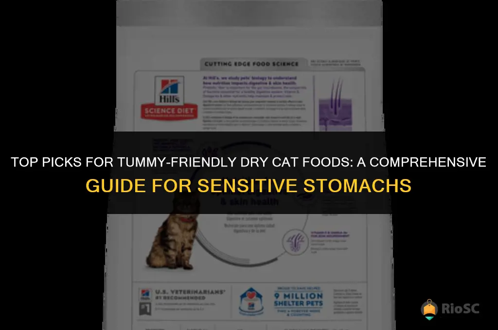 best dry cat foods for sensitive stomachs