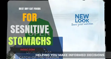 Gentle on the Tummy: Top Dry Cat Food Picks for Sensitive Stomachs