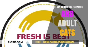 Nutritious Bites: Top Dry Cat Food Picks for Young and Adult Felines