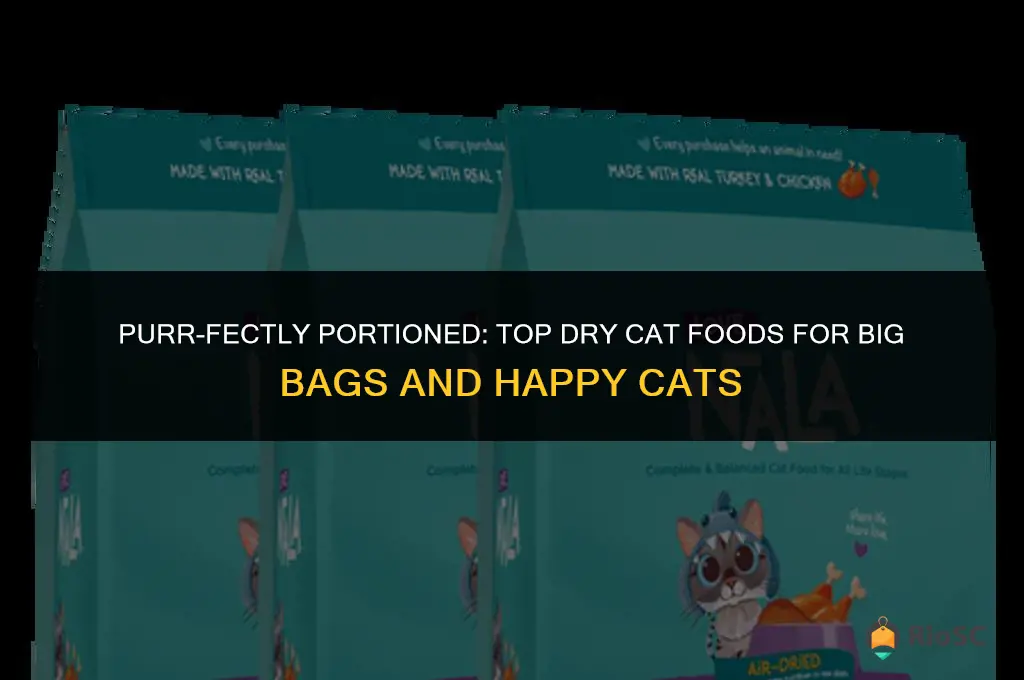 best dry cat foods you can buy in big bags