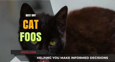 Top Picks for Your Feline Friend: The Best Dry Cat Foods of 2024