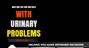 Top Picks: Dry Cat Food for Urinary Health