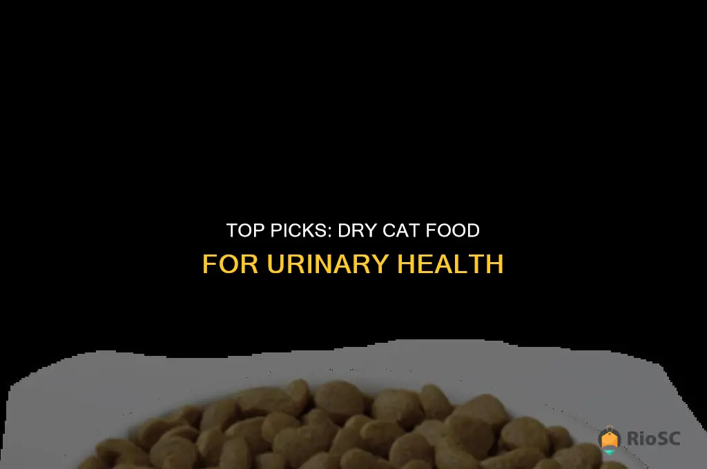 best dry cat for for cats with urinary problems
