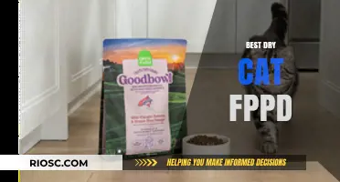 Top Picks for Your Feline Friend: The Best Dry Cat Food Options