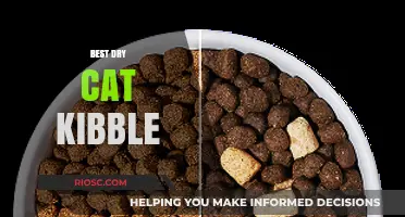 Top Picks for Your Feline Friend: The Best Dry Cat Kibble Options
