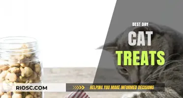 Purr-fectly Healthy: Top Dry Cat Treats for Your Feline Friend
