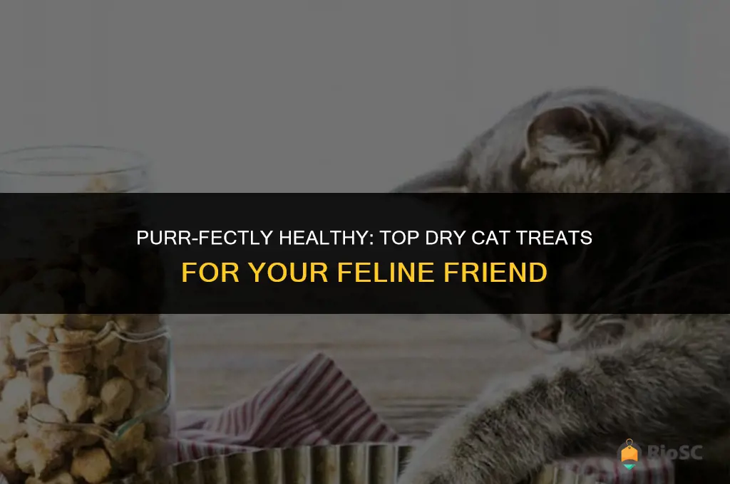best dry cat treats