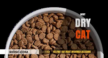 Purr-fectly Dry: A Comprehensive Guide to the Best Dry Cat Food Options
