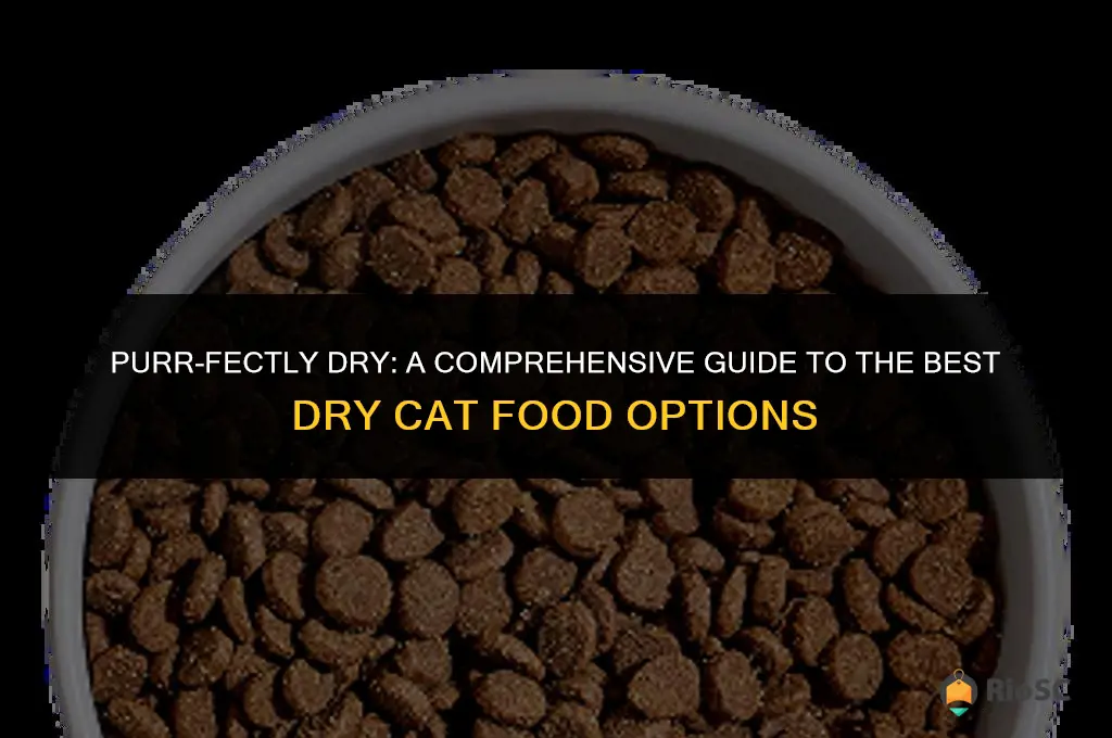 best dry cat