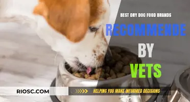 Top Vet-Recommended Dry Dog Food Brands for Optimal Canine Health