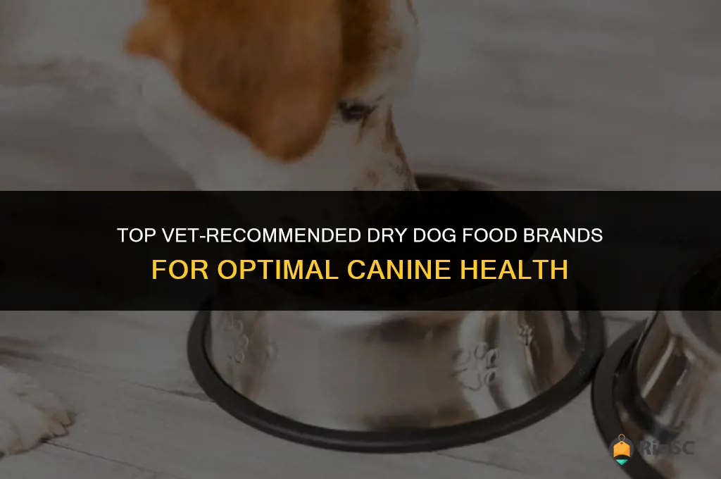 best dry dog food brands recommended by vets