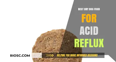 Soothing Solutions: Top Dry Dog Foods to Alleviate Acid Reflux in Your Canine Companion