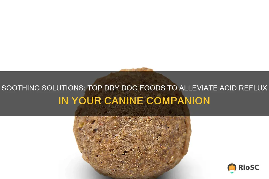best dry dog food for acid reflux