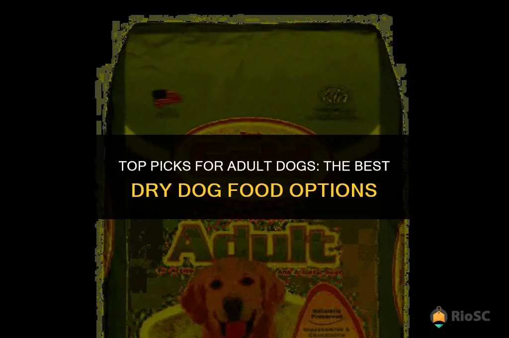 best dry dog food for adults